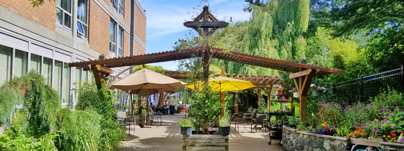 Outdoor therapeutic garden with walking paths, seating areas, umbrellas, and landscaped greenery beside the building.